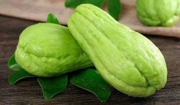 佛手瓜和白瓜一起吃,营养互补的养生佳肴