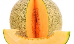 雅吃哈密瓜,品味新疆甜蜜诱惑