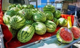 吃瓜郑州,吃瓜群众眼中的城市风云录