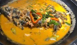 鱼吃瓜视频,揭秘水下美食奇观