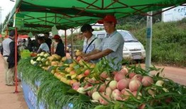 和平镇吃瓜,瓜香四溢，品味和谐生活