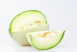 雅吃哈密瓜,品味新疆甜蜜诱惑