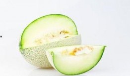 雅吃哈密瓜,品味新疆甜蜜诱惑