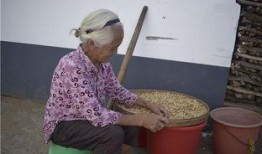 面瓜老人怎样吃,探寻民间美食的传承与创新