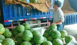 盐城吃瓜群众,揭秘当地独特美食文化