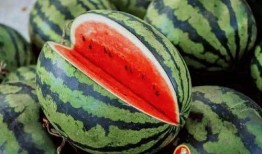 赛季手册吃瓜,揭秘赛场背后的吃瓜风云