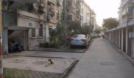 孙庄小区吃瓜,邻里纷争背后的真相揭秘