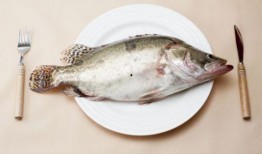 恶俗吃鱼吃瓜,揭秘网络恶搞文化的狂欢盛宴