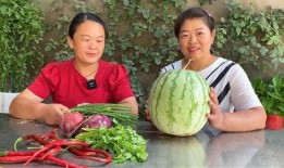 豆子人吃瓜呀,揭秘网络热梗背后的趣味与思考