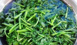 吃瓜扒皮狼茼蒿,茼蒿背后的故事与真相