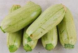 喝酒了吃瓜,笑谈人生百态