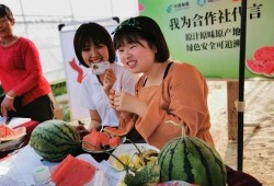 盐城吃瓜群众,揭秘当地独特美食文化