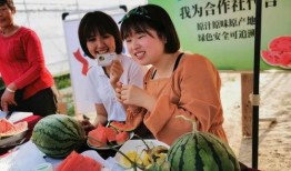 盐城吃瓜群众,揭秘当地独特美食文化