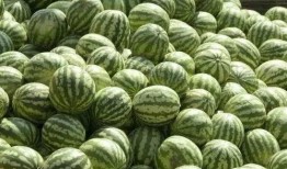 免费吃瓜炸裂,揭秘娱乐圈幕后真相