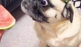 娱乐吃瓜酱宝宝,揭秘娱乐圈那些不为人知的幕后故事