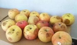 吃坏了的瓜头晕,揭秘夏日饮食安全