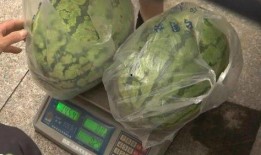 村里的吃瓜,揭秘村里吃瓜背后的故事