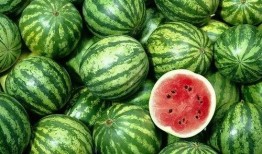 崩瓜和西瓜怎么吃,夏日消暑美食新体验