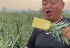 大锤哥吃瓜,揭秘娱乐圈幕后故事