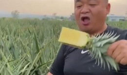 大锤哥吃瓜,揭秘娱乐圈幕后故事