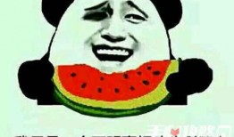 带你吃瓜是什么梗,揭秘网络热梗背后的趣味与思考