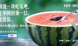 吃瓜姐弟的文案,揭秘娱乐圈背后的甜蜜与辛酸