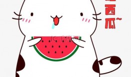 吃瓜眼神表情包下载,捕捉网络潮流的瞬间