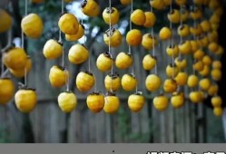 油管吃瓜频道推荐,带你领略网络八卦的魅力