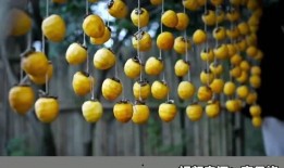 油管吃瓜频道推荐,带你领略网络八卦的魅力