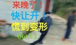 吃瓜小剧场,揭秘娱乐圈背后的那些事儿