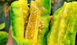 广软吃瓜,吃瓜群众揭秘校园热点事件