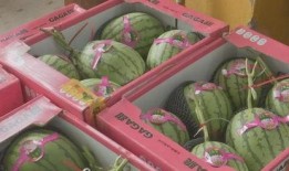 吃瓜福利大全,揭秘娱乐圈幕后那些事儿