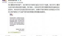 吃瓜群众联邦快递,吃瓜群众视角下的物流巨头