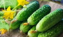 摸骨吃瓜,揭秘传统技艺在现代生活中的奇妙应用