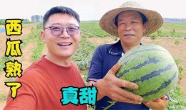 刘大瓜吃羊皮,一场美食与文化的碰撞之旅