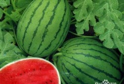 吃瓜会引起过敏吗