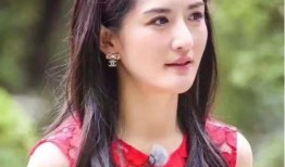 娱乐吃瓜姐谢娜,娱乐圈的“吃瓜女王”