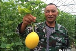 吃瓜福利大全,揭秘娱乐圈幕后那些事儿