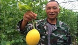 吃瓜福利大全,揭秘娱乐圈幕后那些事儿