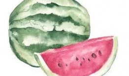 吃瓜者什么意思,网络时代的旁观者与评论家