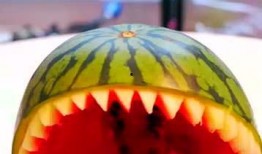 吃瓜5小时,连续5小时吃瓜，揭秘娱乐圈幕后真相