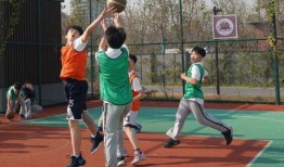 吃瓜标枪,揭秘娱乐圈的犀利评论与热议焦点