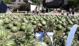 美院吃瓜,揭秘艺术殿堂里的“吃瓜”事件