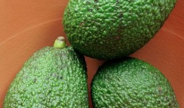 桃能跟哈密瓜一起吃吗,兼容性探讨与食用建议