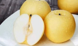 吃坏瓜上吐下泻,上吐下泻的紧急应对指南