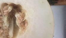 吃伊丽莎白瓜上牙膛痒,舌尖上的痒意之旅