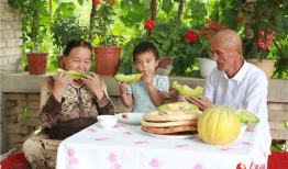 新疆老头吃老汉瓜,老头吃老汉瓜，传承民间美食佳话