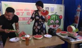 心声吃瓜朝堂,心声吃瓜，揭秘朝堂秘闻