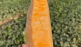 萍乡甜优优吃瓜,吃瓜群众的甜蜜生活