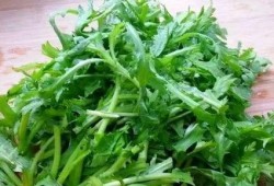 吃瓜扒皮狼茼蒿,茼蒿背后的故事与真相